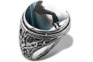 41ibjj7r2kL._AC_UL320_