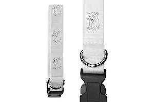 Collar Con Pelo 51o48N2fJKL._AC_UL320_