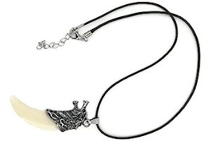 51qp+Mic5qL._AC_UL320_