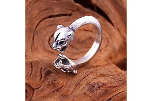 6120YIm9OeS._AC_UL320_