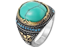 615N4zy0X9L._AC_UL320_