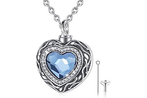 Colgantes Para Cenizas Amazon 61NxM4qQnfL._AC_UL320_