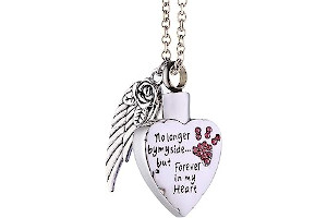 Collar Urnas Para Cenizas 61Y5fmZqs7L._AC_UL320_