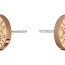 Pendientes Bulgari Mujer