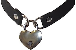 61gqphAYzCL._AC_UL320_