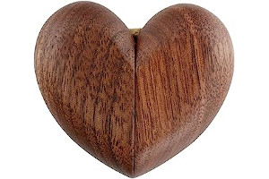 61oLvoeEjIL._AC_UL320_