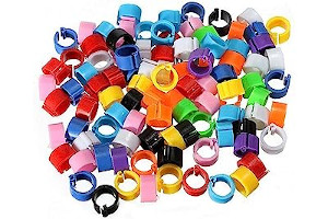 Anillos Cani
