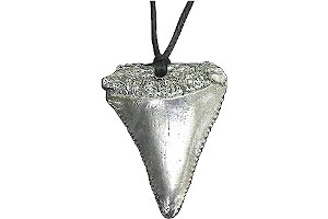 712ihl8OzlL._AC_UL320_