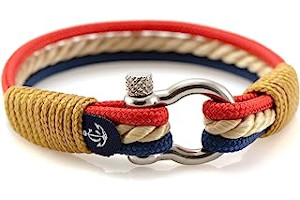 719HF+2LNbL._AC_UL320_