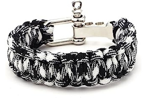 71PTYr0wvBL._AC_UL320_