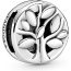 Charm Pandora Plana