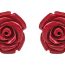 Pendientes Rojos Y Rosas