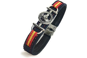 81tEkoQr1BL._AC_UL320_